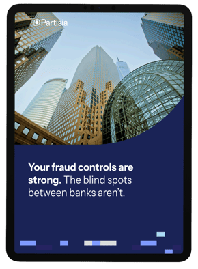 pdf_cover_identity-flagging