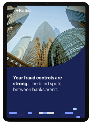 pdf_cover_identity-flagging