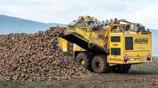 mpc-first-application-danish-sugar-beet-auction