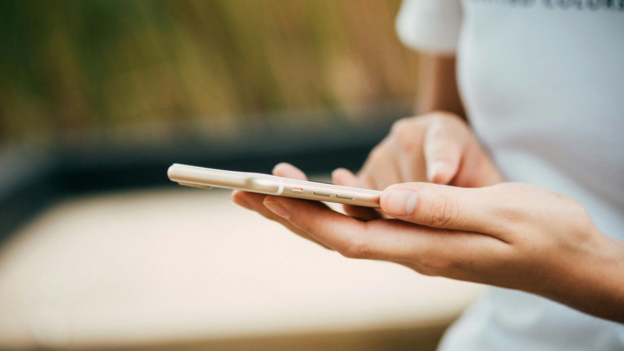 person looking at mobile phone device